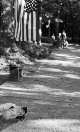 Aid Station Dog BW - Photo Credit Jamison Swift