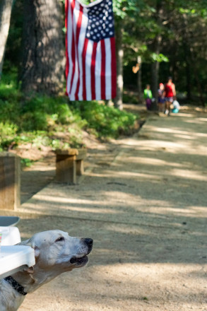 Aid Station Dog - Photo Credit Jamison Swift
