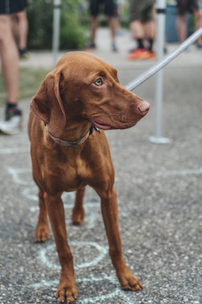 Bean - Photo Credit Fresh Tracks Media