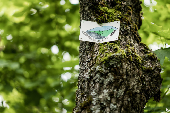 Boreal Sign - Photo Credit Ian Corless