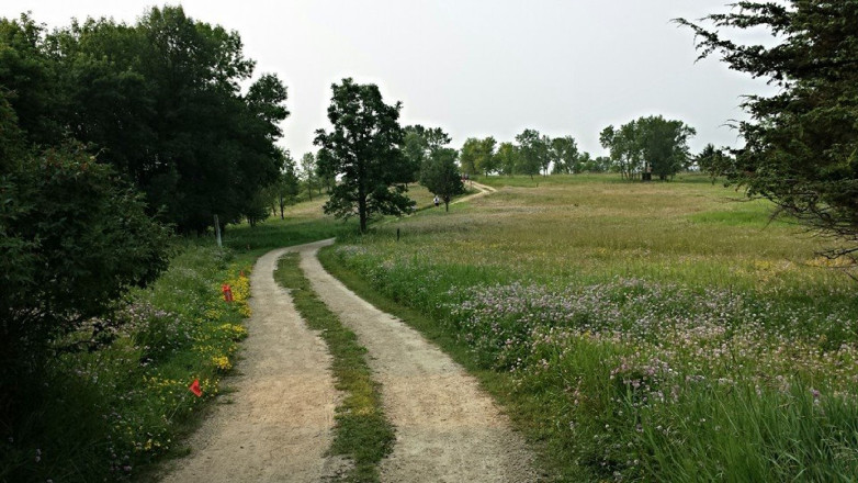 Campground - Photo Credit Erik Lindstrom