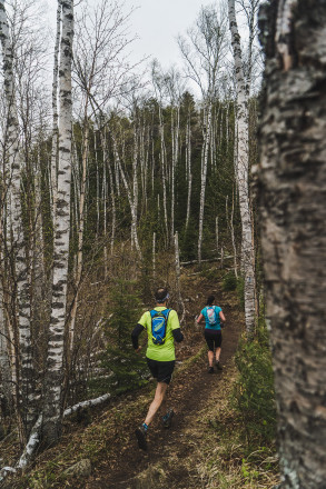 Carlton Peak Aspens - Photo Credit Fresh Tracks Media