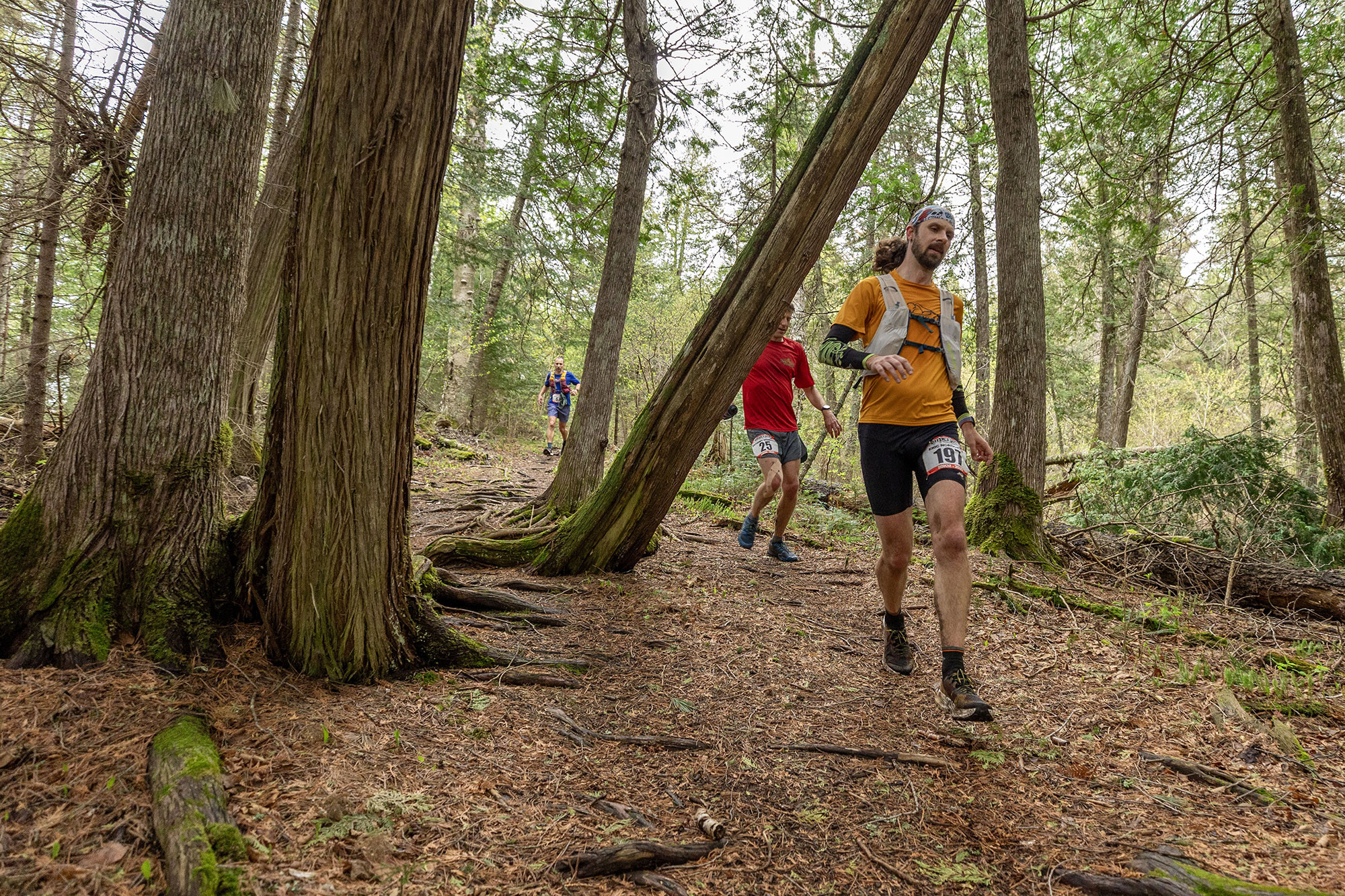 2025 Spring Superior 25K and 50K Trail Races