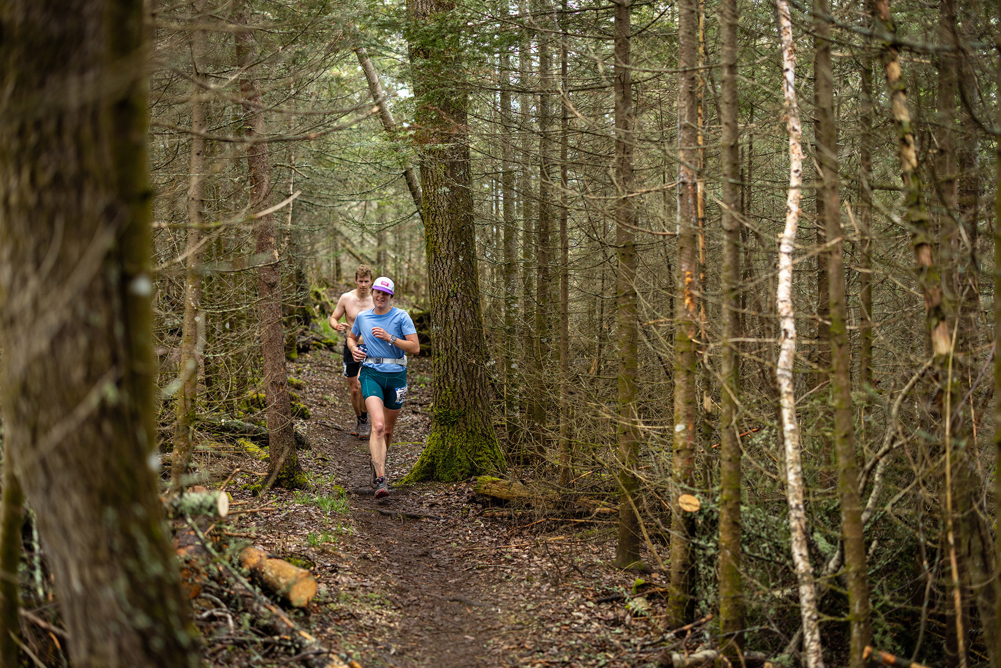 Firs and Spruce - Photo Credit Scott Rokis