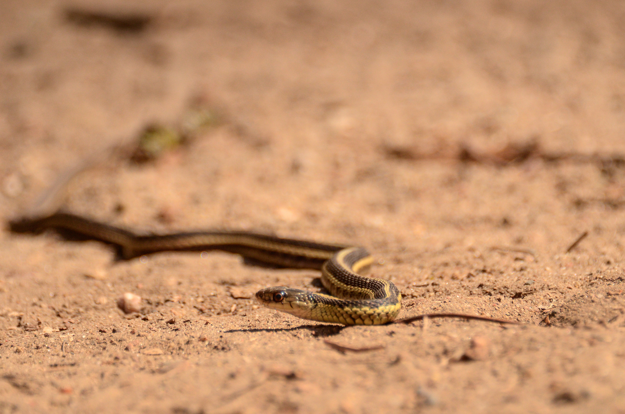 Local Residents - Photo Credit Michaela Farley
