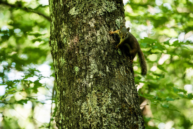 Locals - Photo Credit Ian Corless