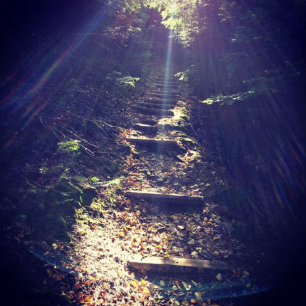 Moose Mountain Staircase - Photo Credit Jamison Swift