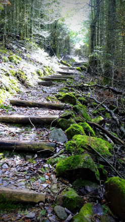 Moose Mountain Staircase - Photo Credit John Storkamp