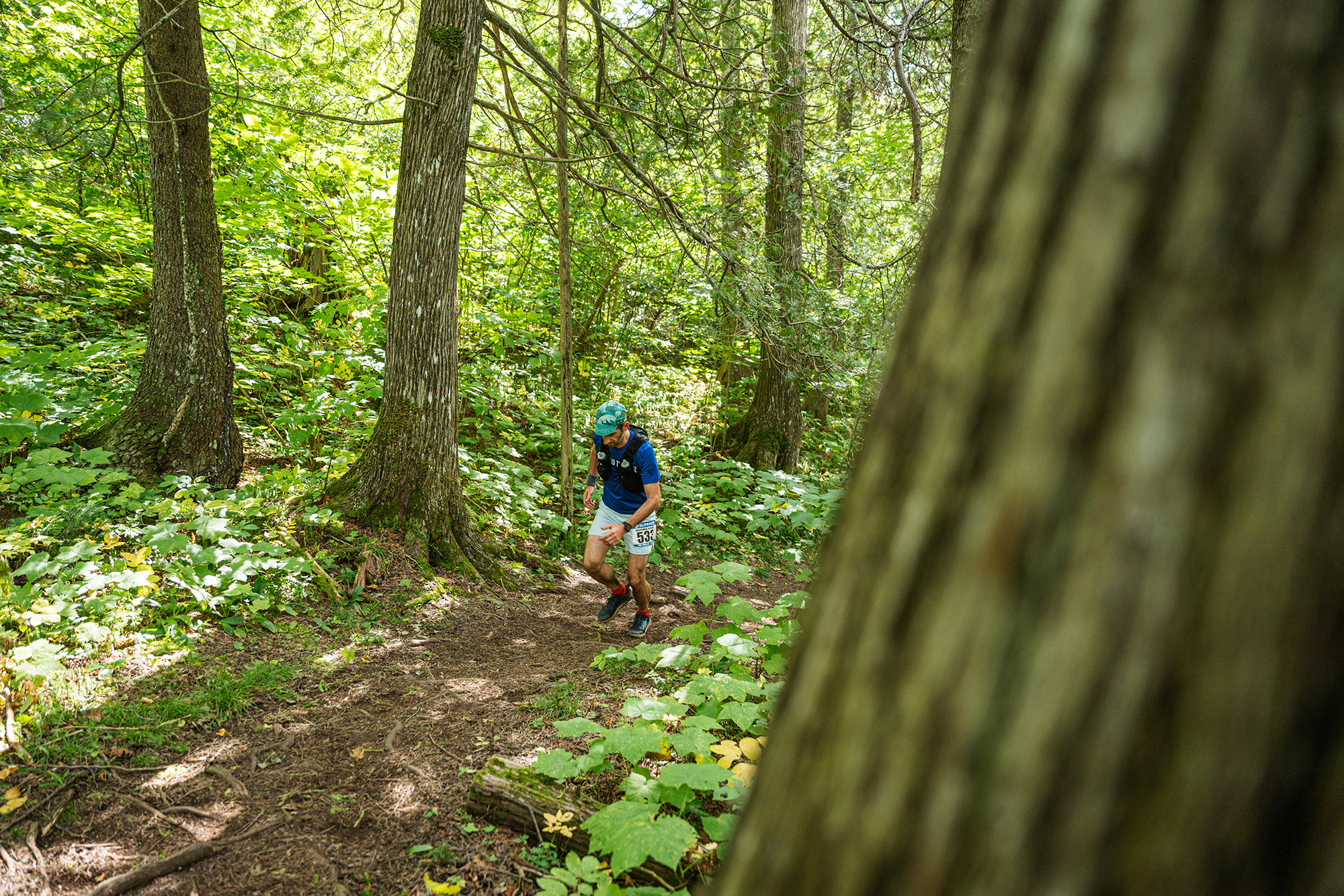 Pecaeful Climb in the Cedars SFTR 2025 - Photo Credit Anastasia Wilde
