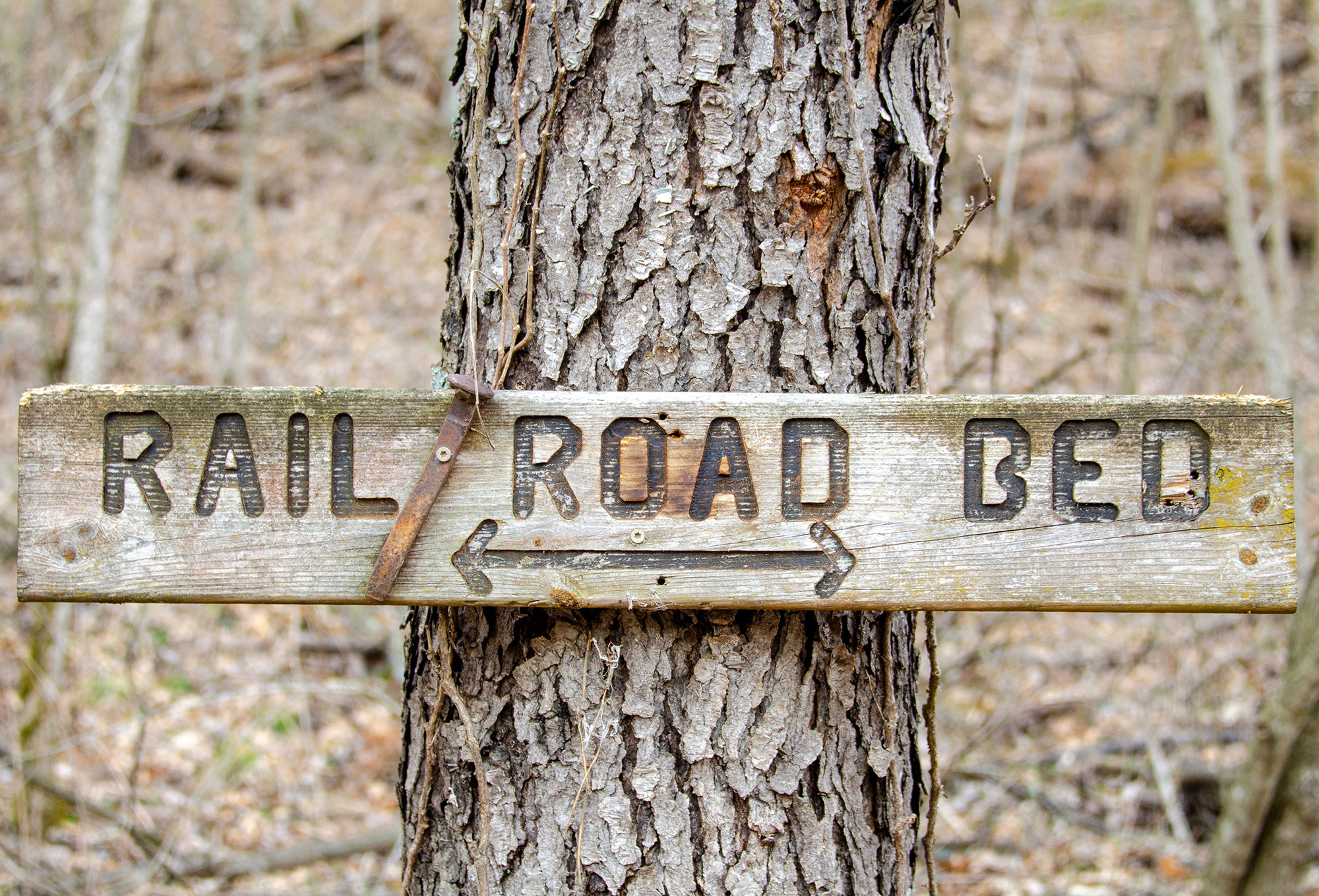 Rail Road Bed Trail - Photo Credit Michaela Farley
