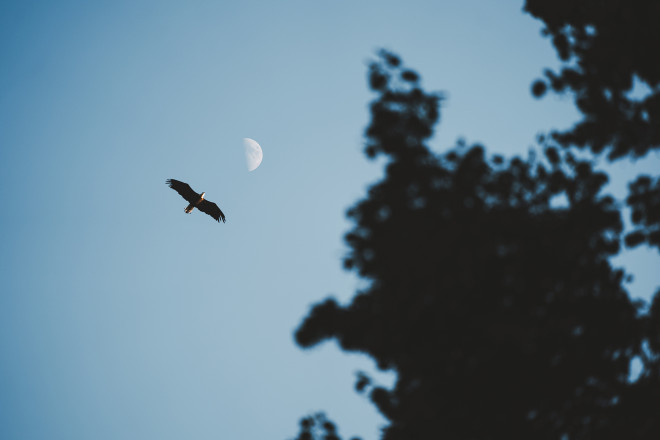 Skies Above Spring Lake Park - Photo Credit Fresh Tracks Media
