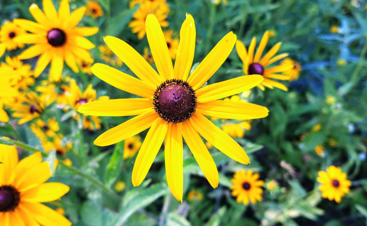 Subtle Beauty at Afton - Photo Credit John Storkamp