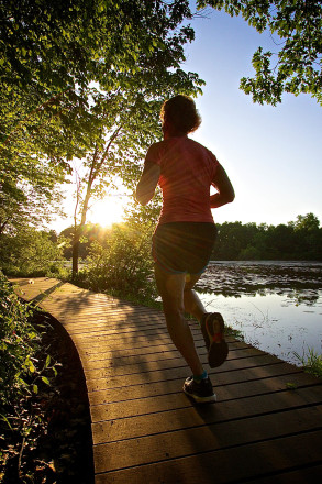 Summer Setting - Photo Credit Chris Gibbs