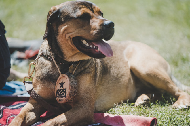 The Dogs of Afton Part 486 - Photo Credit Fresh Tracks Media
