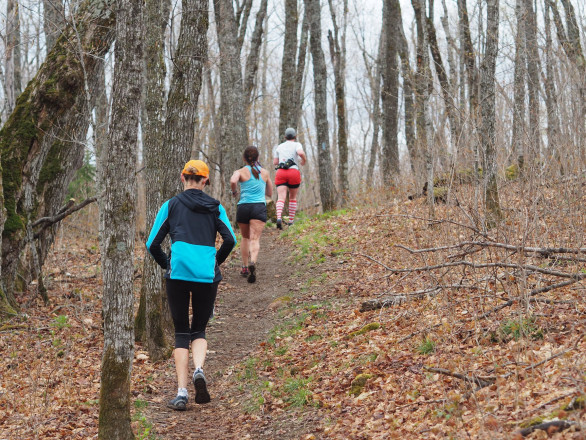 Through the Maples - Photo Credit Kevin Langton