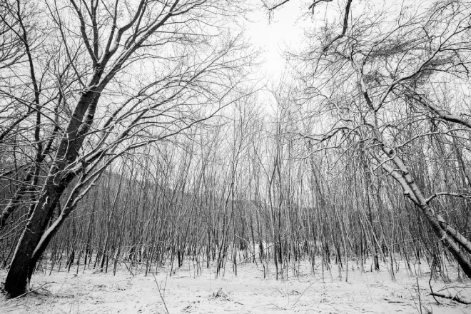 Winter Wonderland in April - Photo Credit Zach Pierce