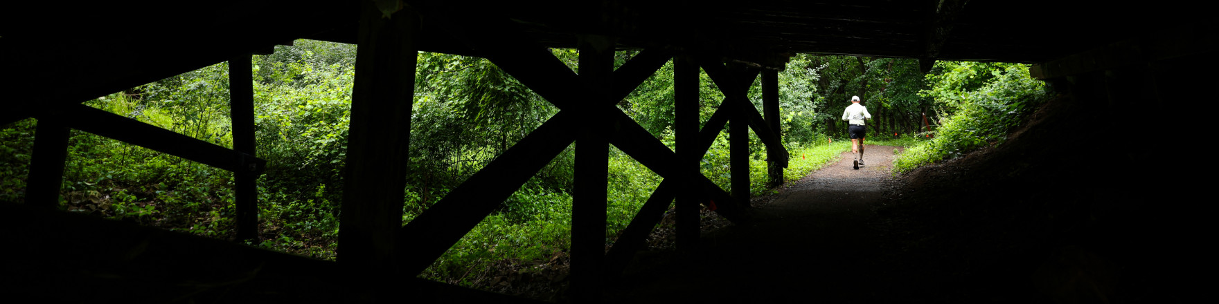 Afton Creosote Bridge - Photo Credit Scott Rokis