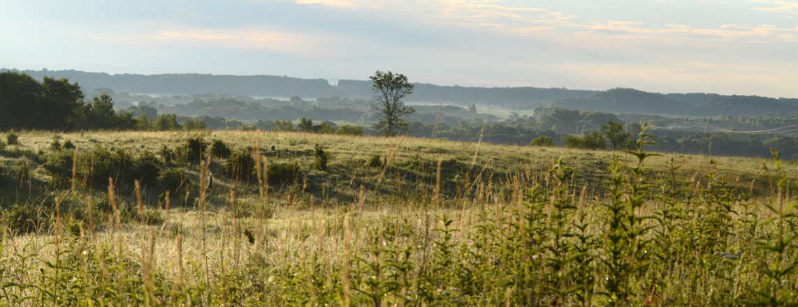 Afton Prairie Beauty - Photo Credit John Stewart