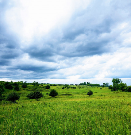 Afton Prairie Beauty - Photo Credit John Storkamp