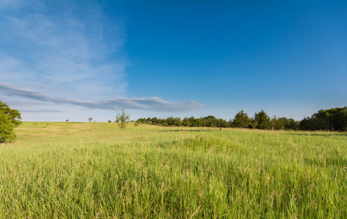 Afton Prairie Loop - Photo Credit Todd Rowe