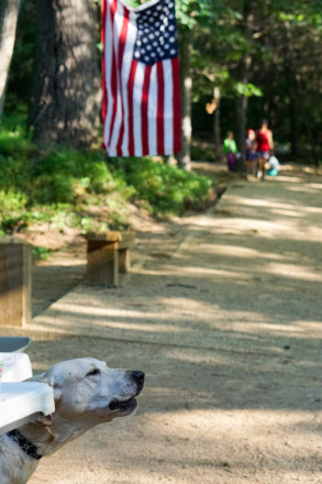 Aid Station Dog - Photo Credit Jamison Swift