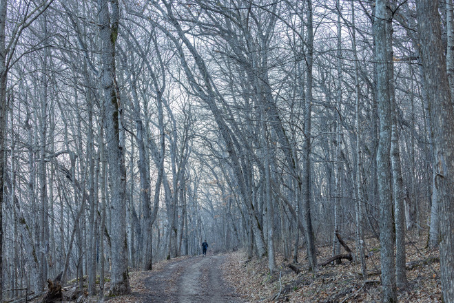2023 Zumbro Endurance Runs by Rock Steady Running