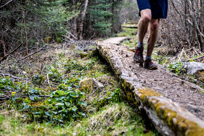 Boreal Boardwalk - Photo Credit Fresh Tracks Media