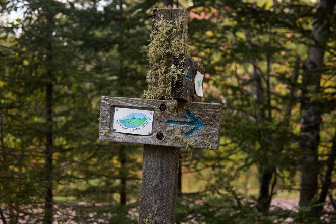 Boreal For Real - Photo Credit Christine Armbruster