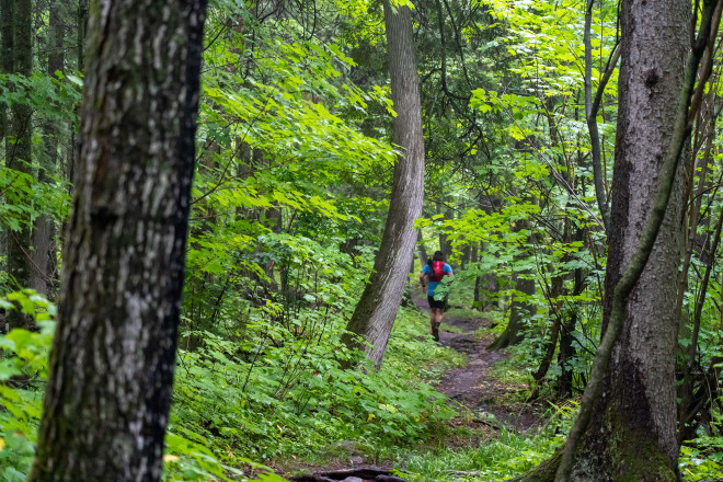 Boreal For Real - Photo Credit Kent Keeler