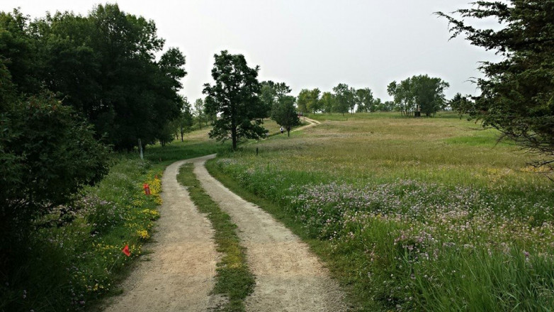 Campground - Photo Credit Erik Lindstrom