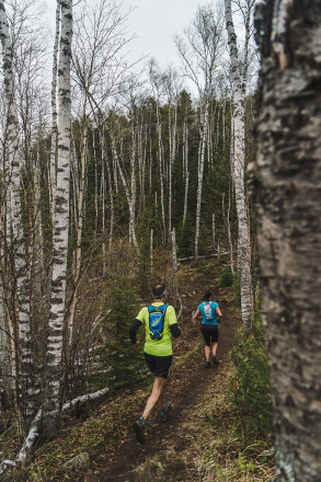 Carlton Peak Aspens - Photo Credit Fresh Tracks Media