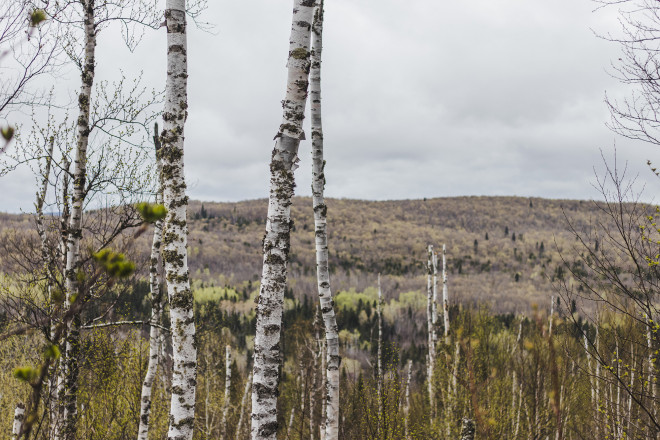 Carlton Peak Subtle Beauty - Photo Credit Fresh Tracks Media