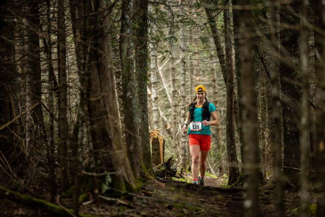 Coniferous Tunnel - Photo Credit Scott Rokis