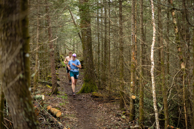 Firs and Spruce - Photo Credit Scott Rokis