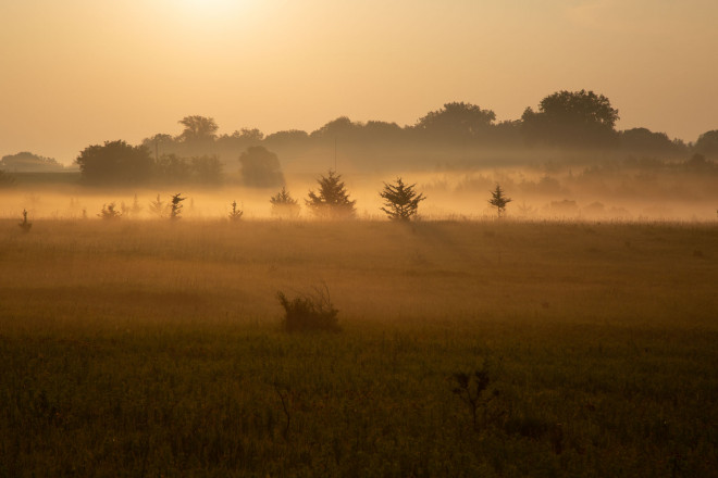Foggy Dawn - Photo Credit John Schultz