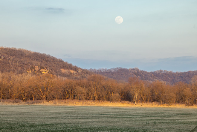 2023 Zumbro Endurance Runs by Rock Steady Running