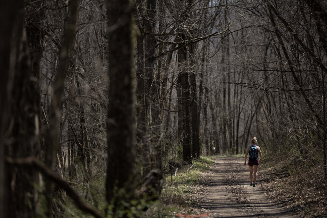 Hardwood Tunnel - Photo Credit Cary Johnson