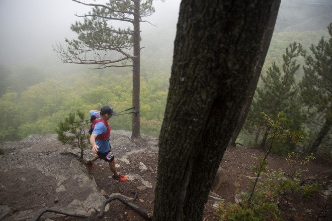 High Up in the Pines - Photo Credit Cary Johnson