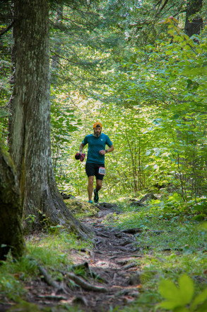 In the Cedars - Photo Credit Christine Armbruster