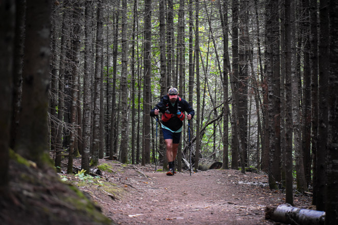 In the Deep Dark Woods SFTR 2025 - Photo Credit Jeremy Hager