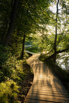 Lebanon Hills Boardwalk 2025 ESTRS Lebanon 7MI - Photo Credit Christine Armbruster