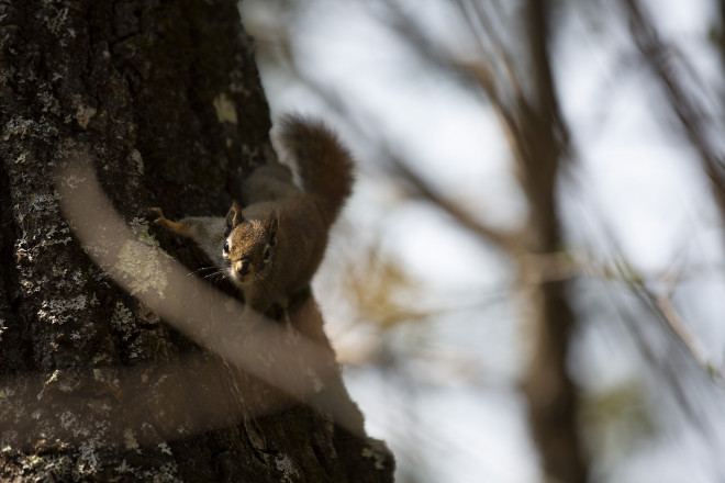 Little Friends - Photo Credit Cary Johnson