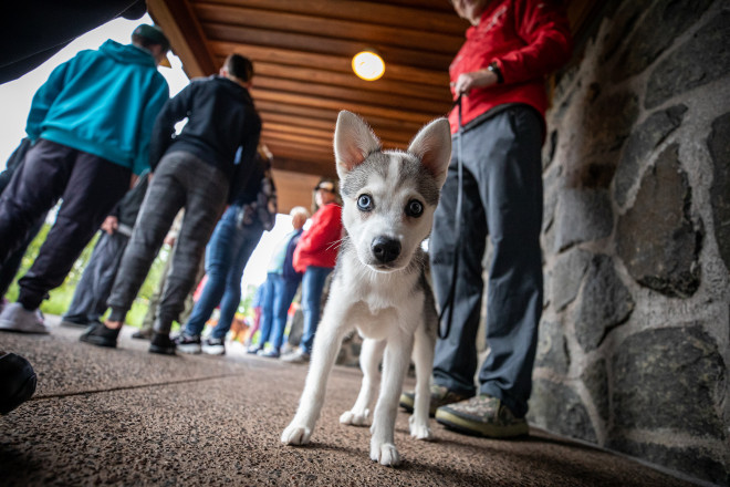 Little Wolf - Photo Credit Tone Coughlin