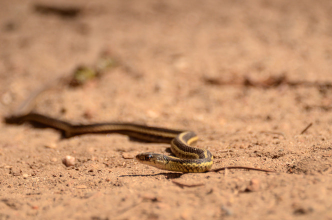 Local Residents - Photo Credit Michaela Farley