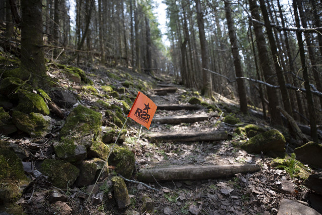 Moose Steps - Photo Credit Cary Johnson