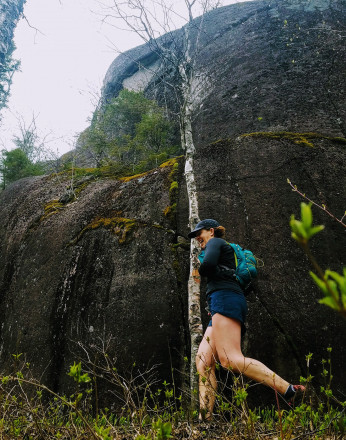 Moss on Granite - Photo Credit John Storkamp