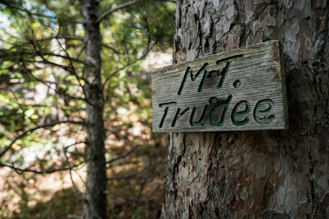 Mt Trudee - Photo Credit Ian Corless