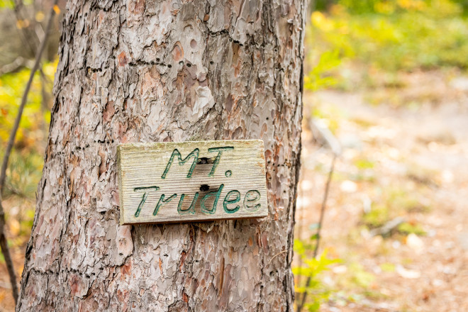 Mt Trudee Sign SFTR 2025 - Photo Credit Scott Rokis