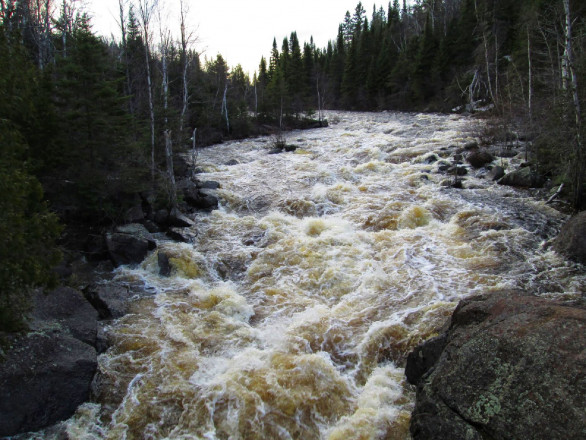 Poplar River - Photo Credit Robyn Reed