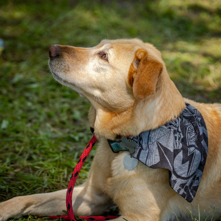 Poppy in Her Afton Gear - Photo Credit Mike Wheeler